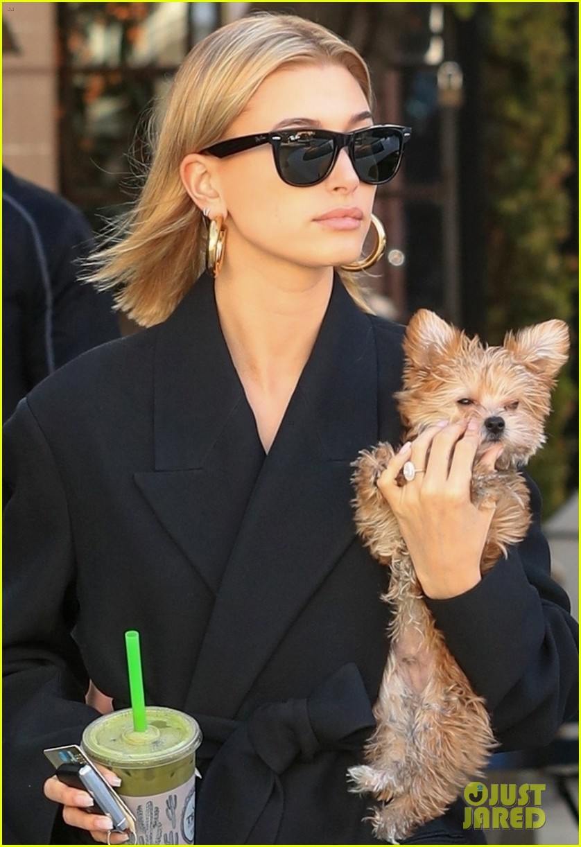 hailey bieber flashes her midriff while stepping out with puppy oscar 02