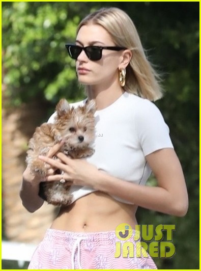 hailey bieber flashes her midriff while stepping out with puppy oscar 05