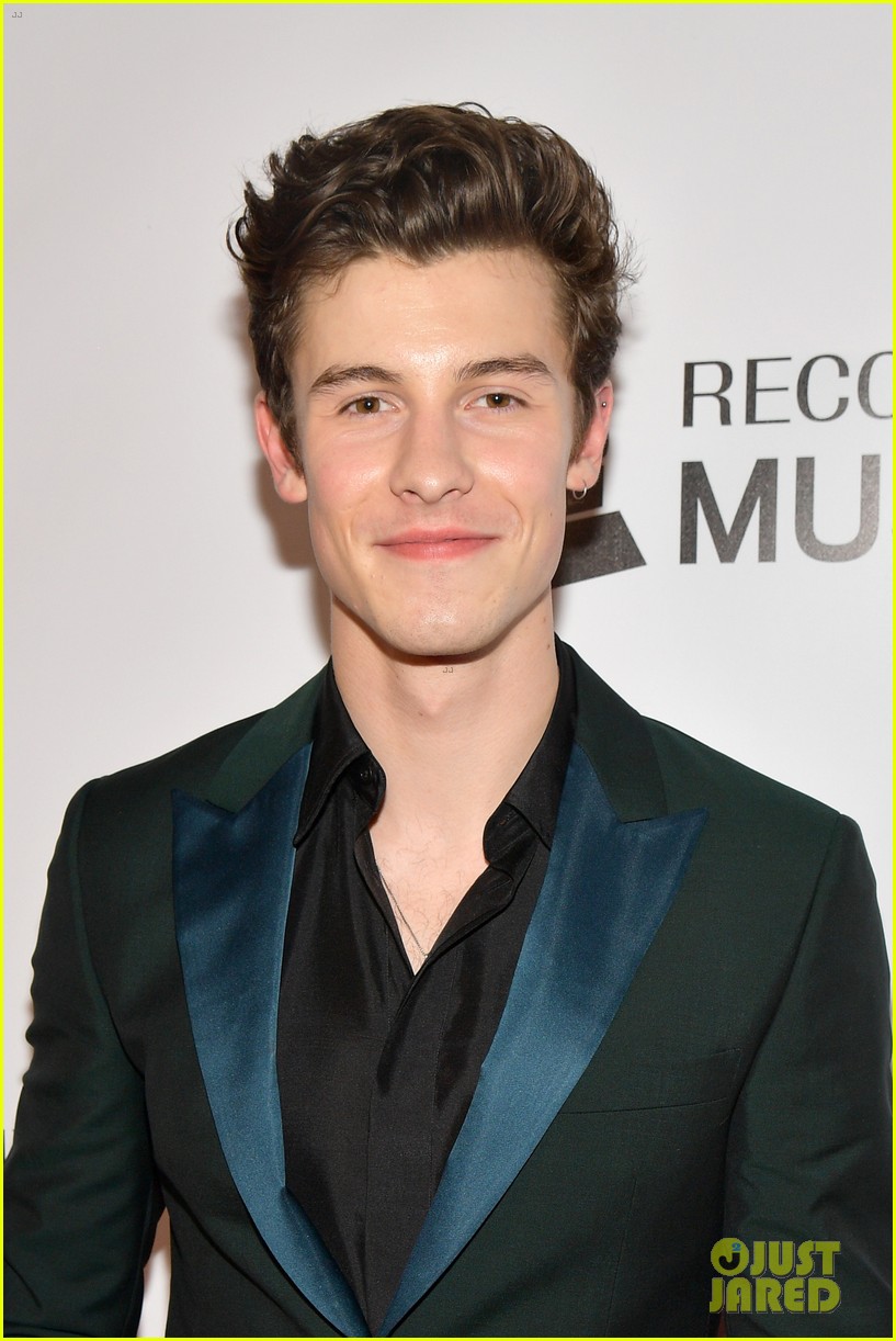 miley cyrus shawn mendes musicares person of the year gala 23