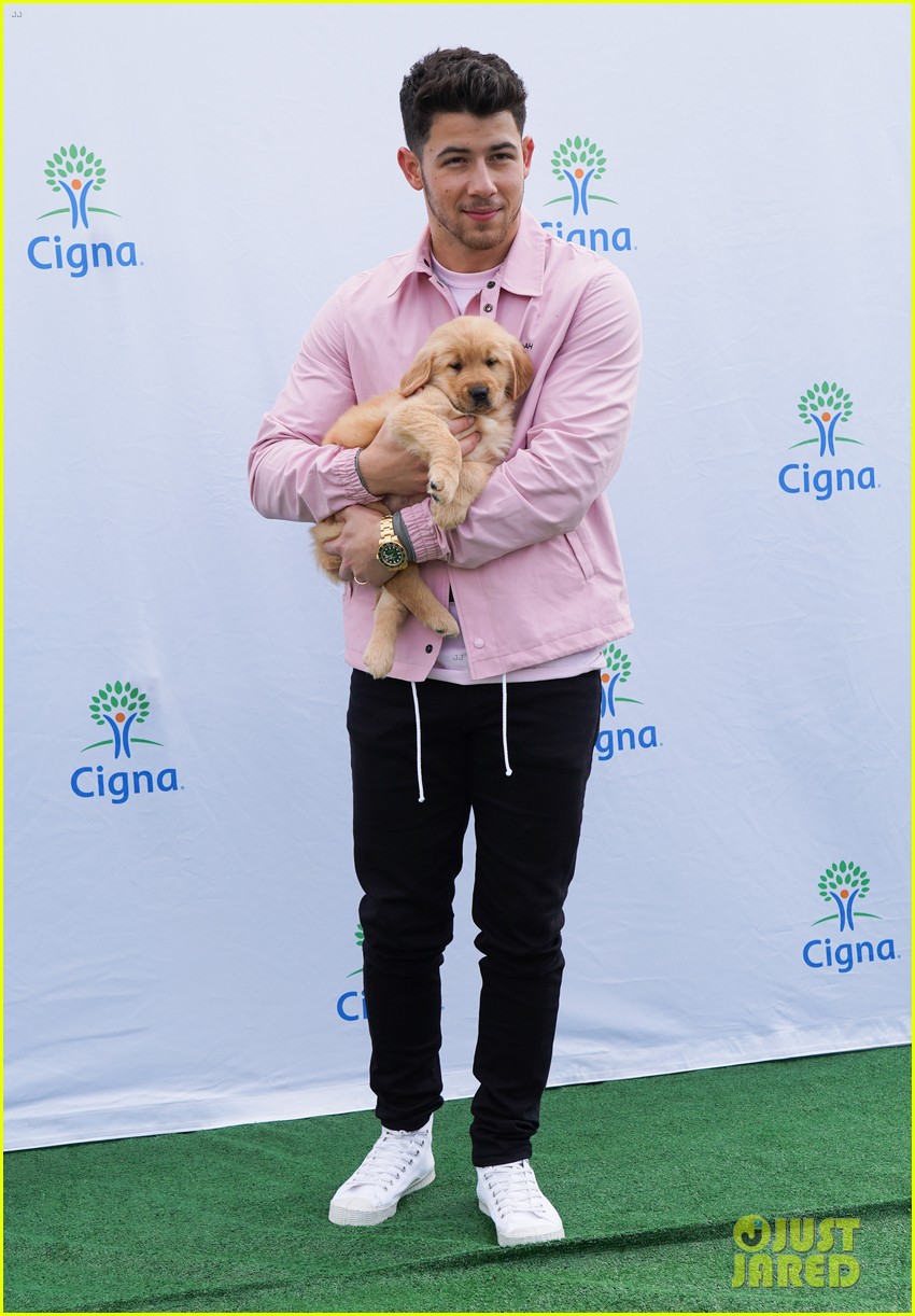 nick jonas cozies up to a puppy at cigna event 01