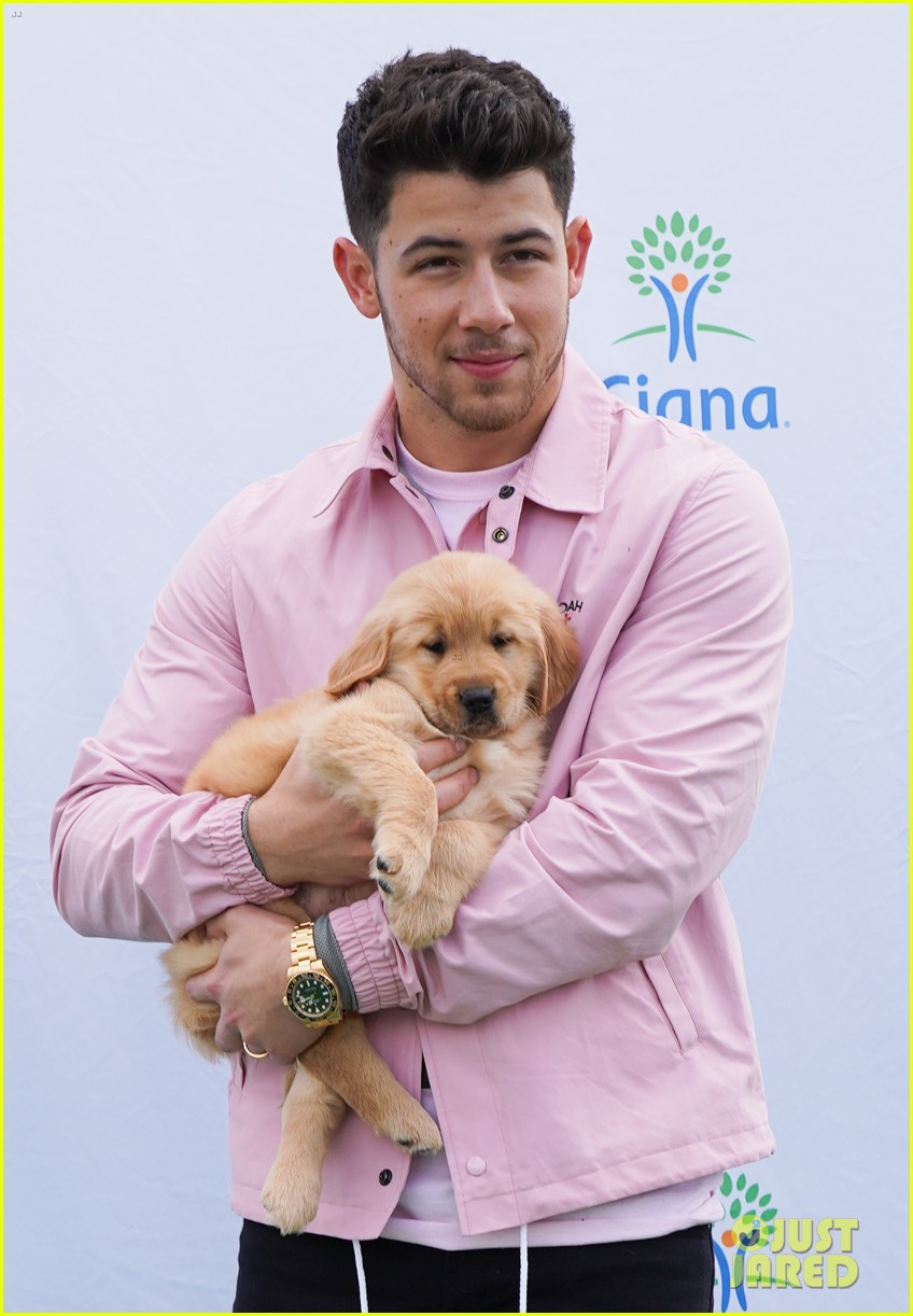nick jonas cozies up to a puppy at cigna event 10