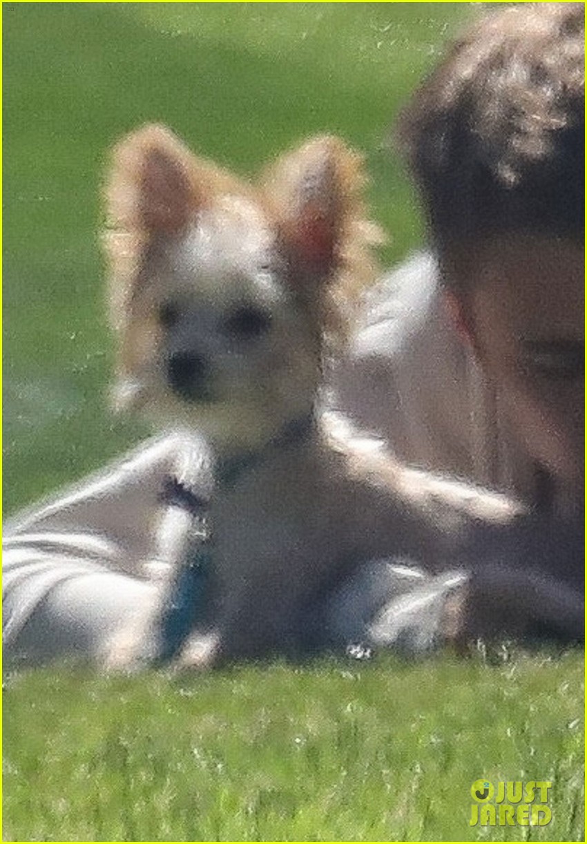 justin bieber brings adorable pup oscar to the park 02