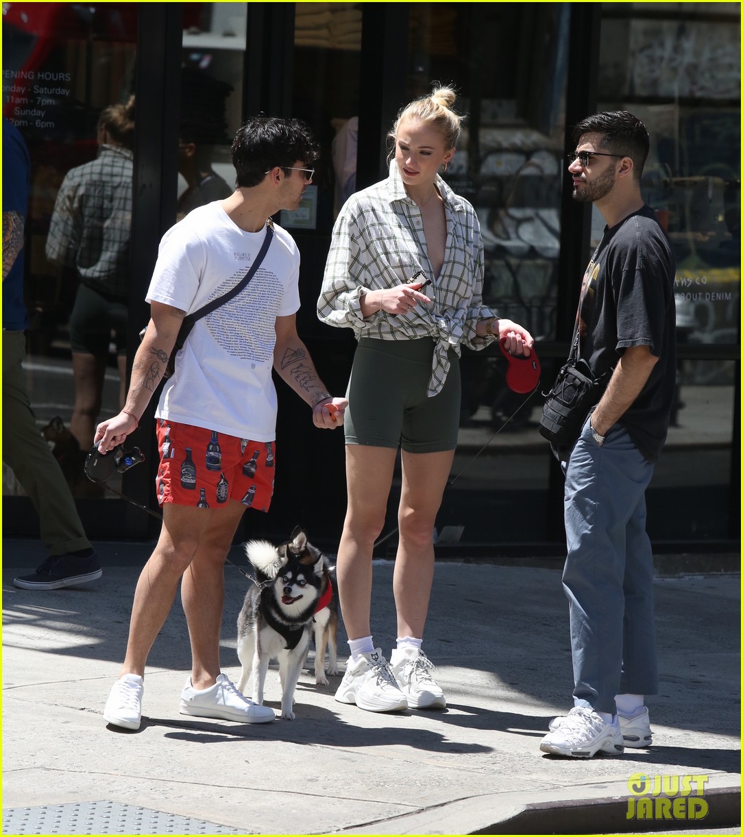 joe jonas sophie turner take their dogs for a walk in nyc 08