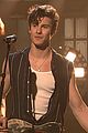 shawn mendes in my blood snl 05