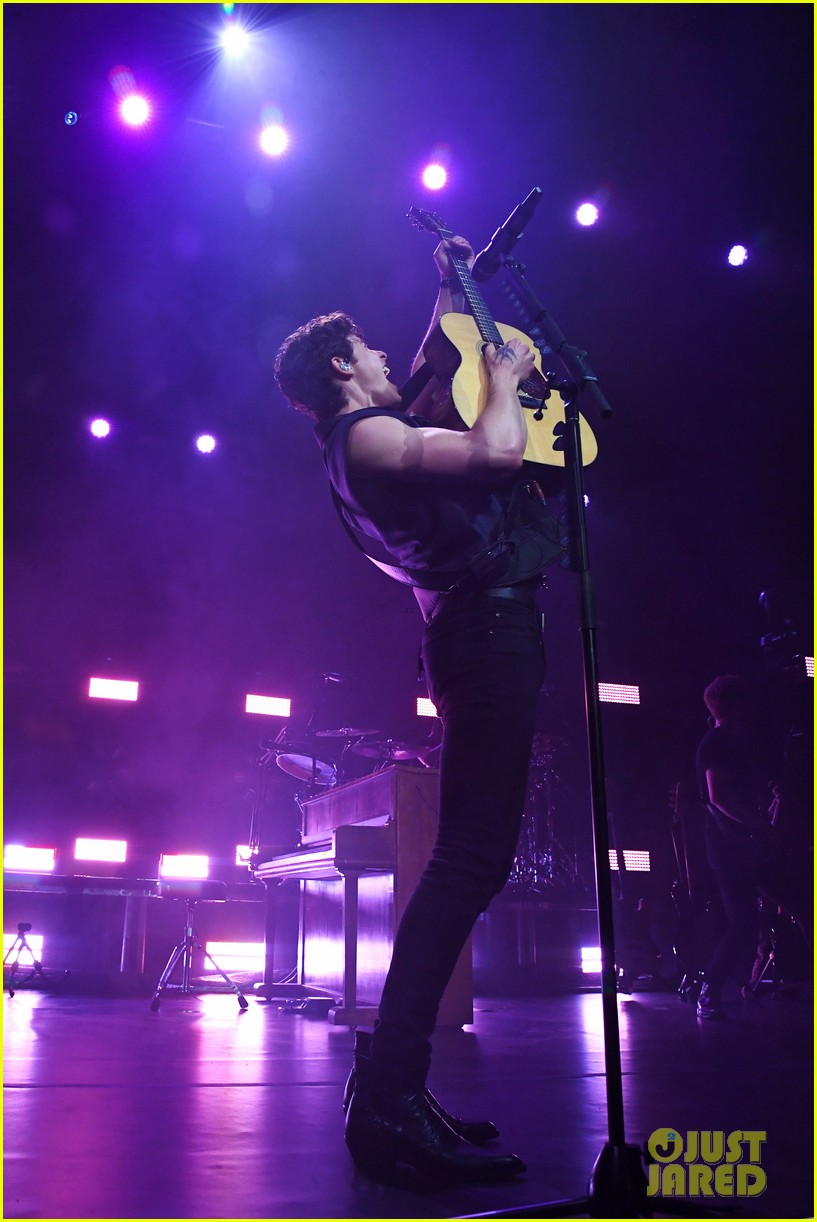 shawn mendes bares muscles at concert 03