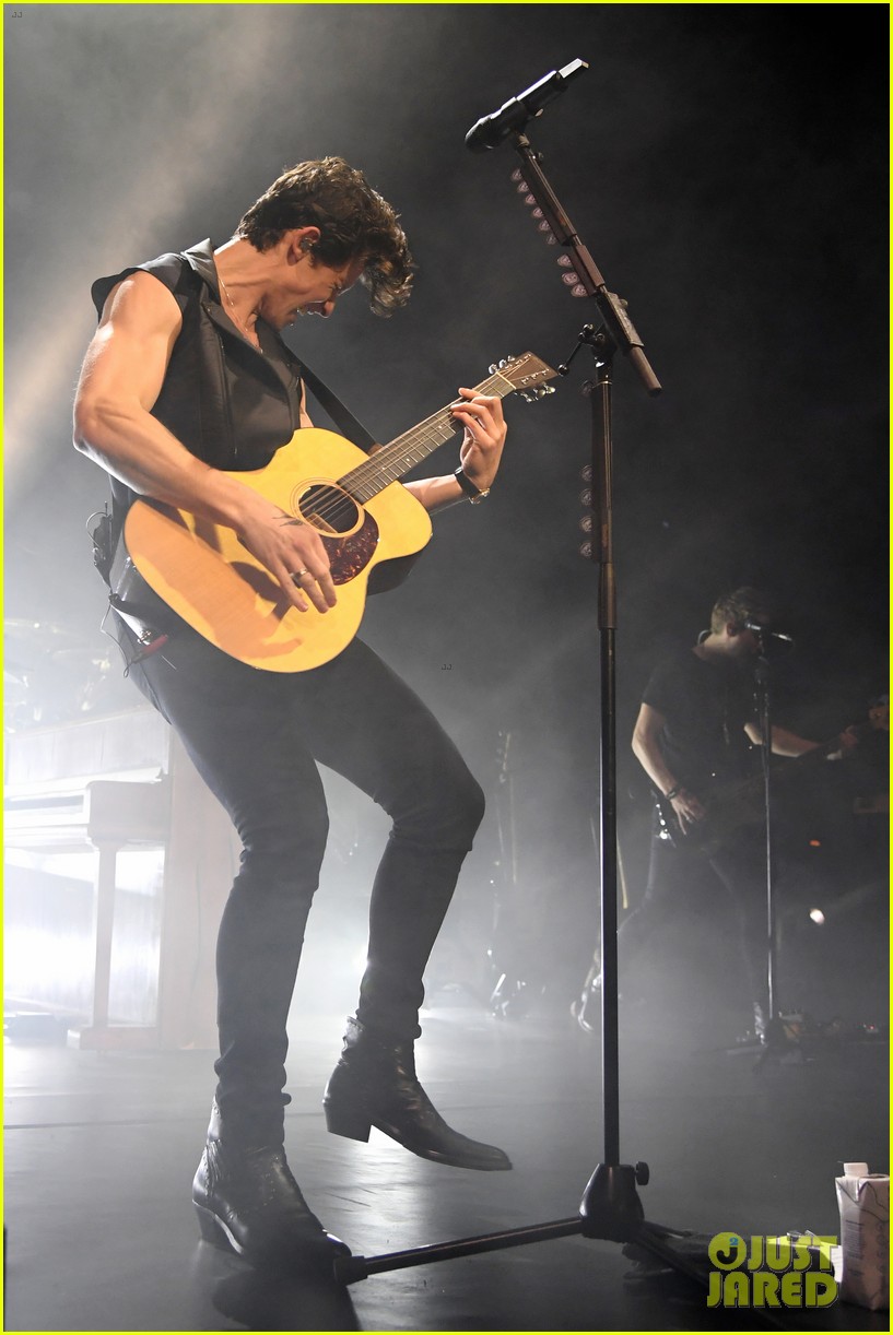 shawn mendes bares muscles at concert 04
