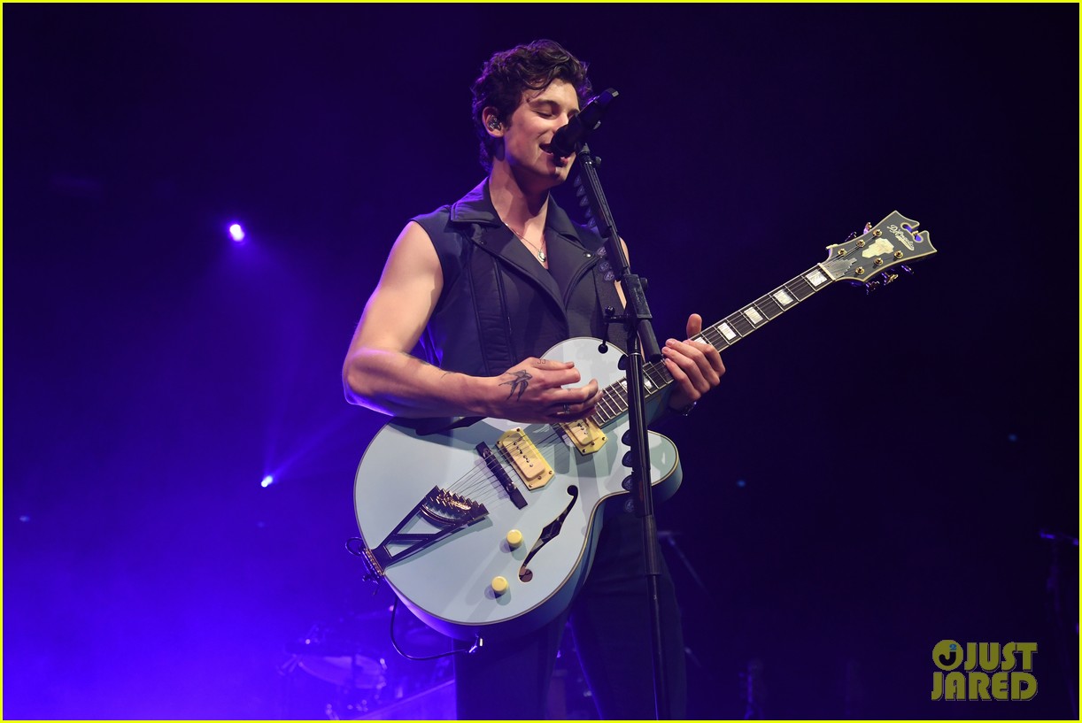 shawn mendes bares muscles at concert 06