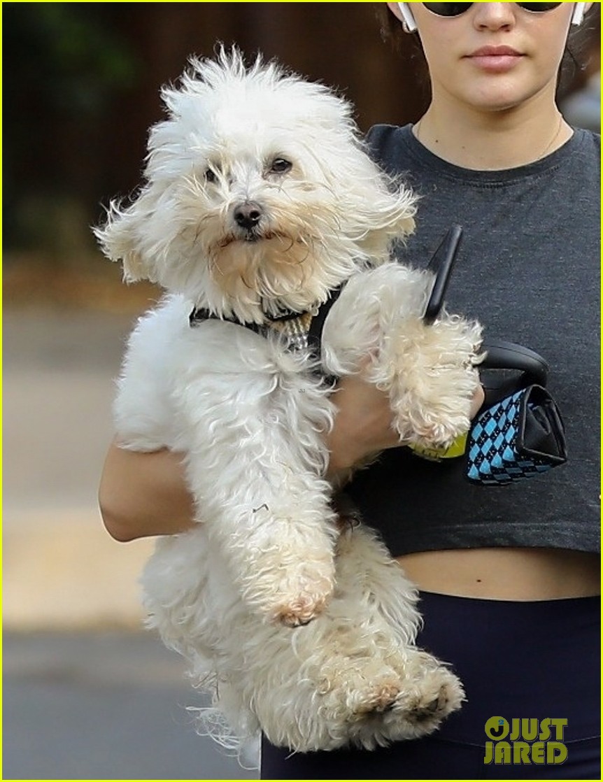lucy hale holding elvis 06