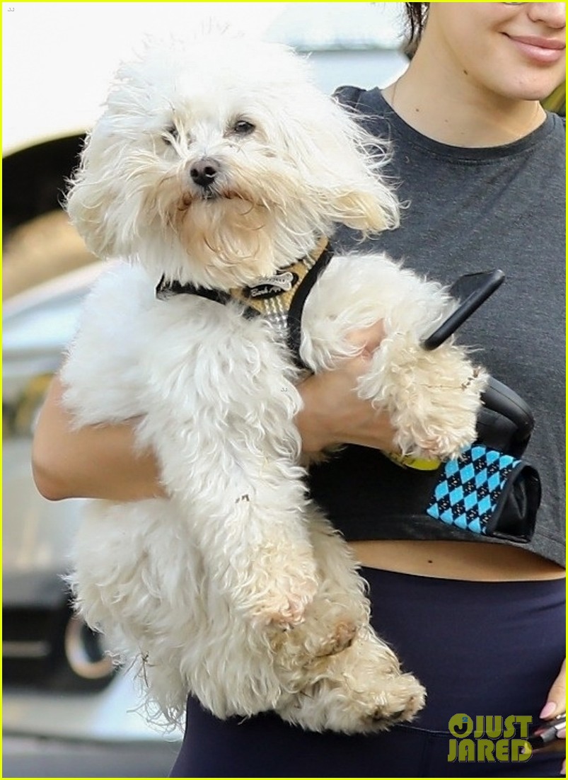 lucy hale holding elvis 08
