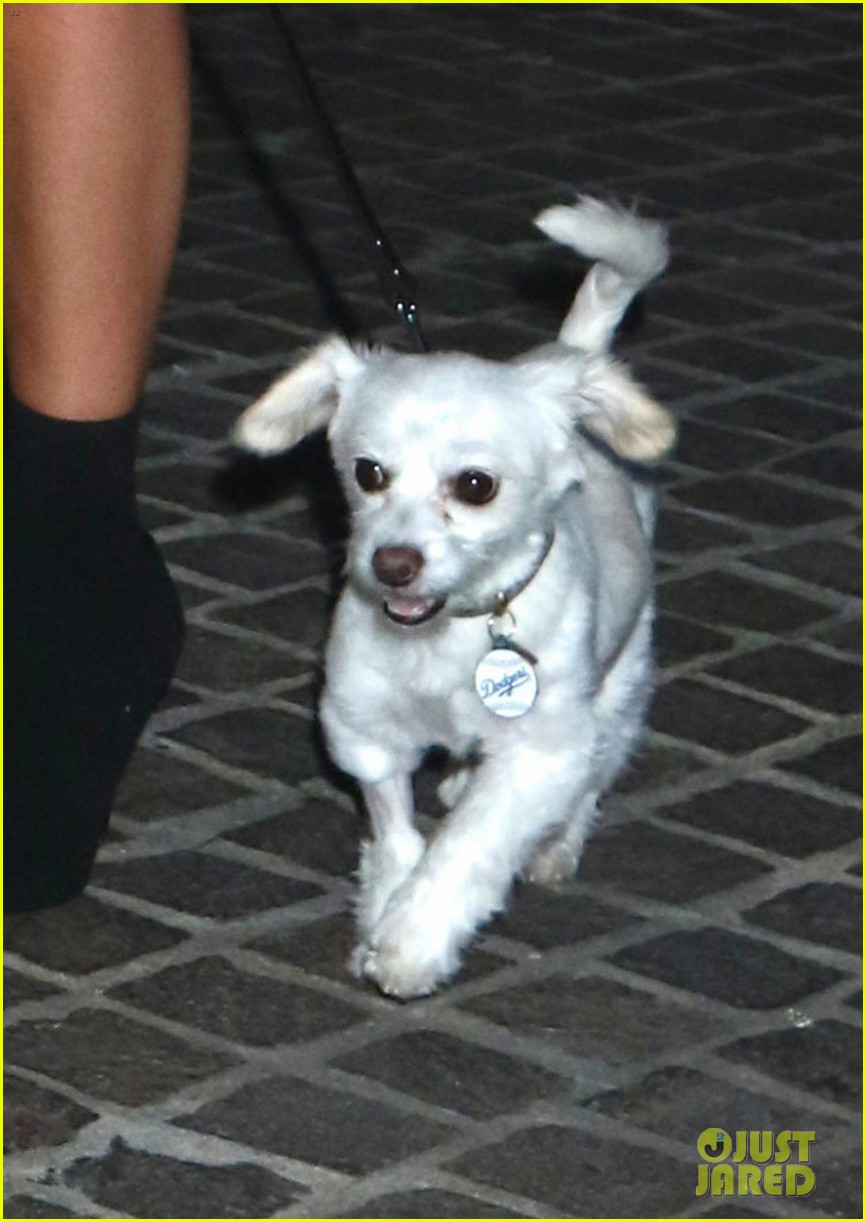 emily osment brings dog joseph to screening of her new show almost family 03