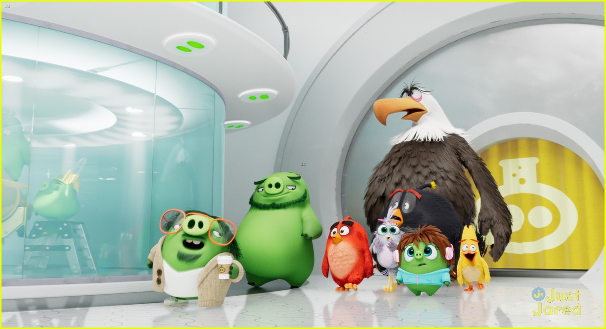 angry birds 2 hatchlings clip pics 07