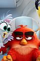 angry birds 2 hatchlings clip pics 06