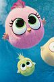 angry birds 2 hatchlings clip pics 08