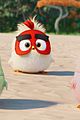 angry birds 2 hatchlings clip pics 09