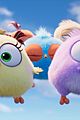 angry birds 2 hatchlings clip pics 13