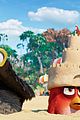 angry birds 2 hatchlings clip pics 14