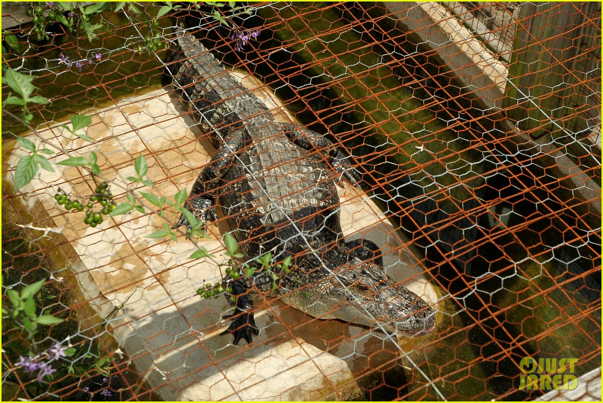 kaya scodelario crawl alligator event 18