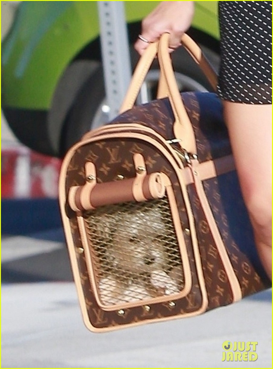 ashley tisdale christopher french take new pup ziggy to dinner 04