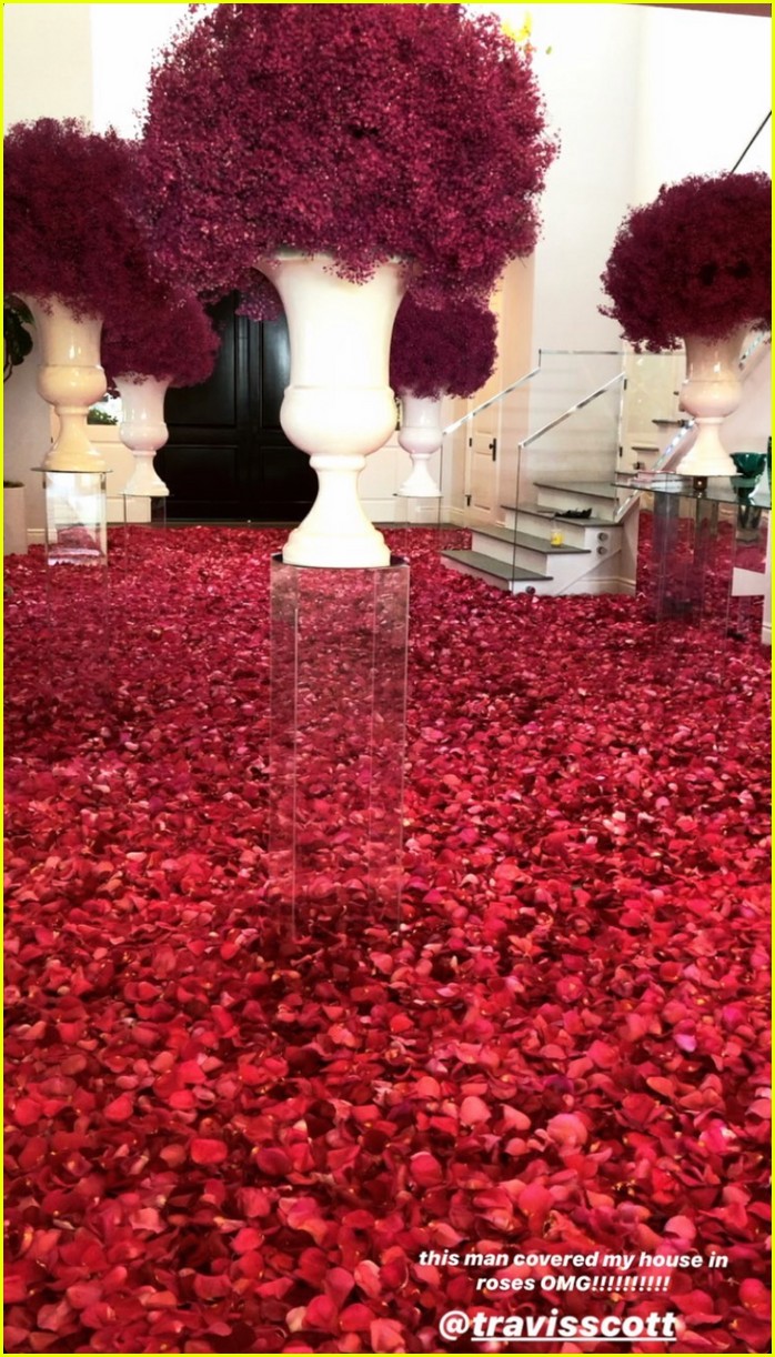 kylie jenner travis scott house covered in roses 02