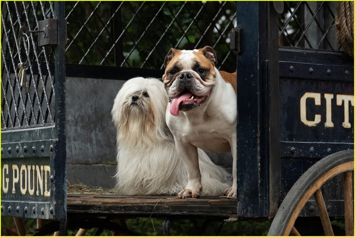 disneys live action lady and tramp gets new trailer 08.