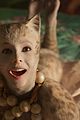 cats trailer 13
