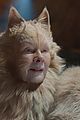 cats trailer 14
