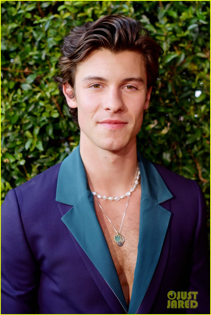 shawn mendes steps out 2019 american music awards 09