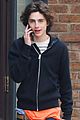 timothee chalamet all smiles day out nyc 04