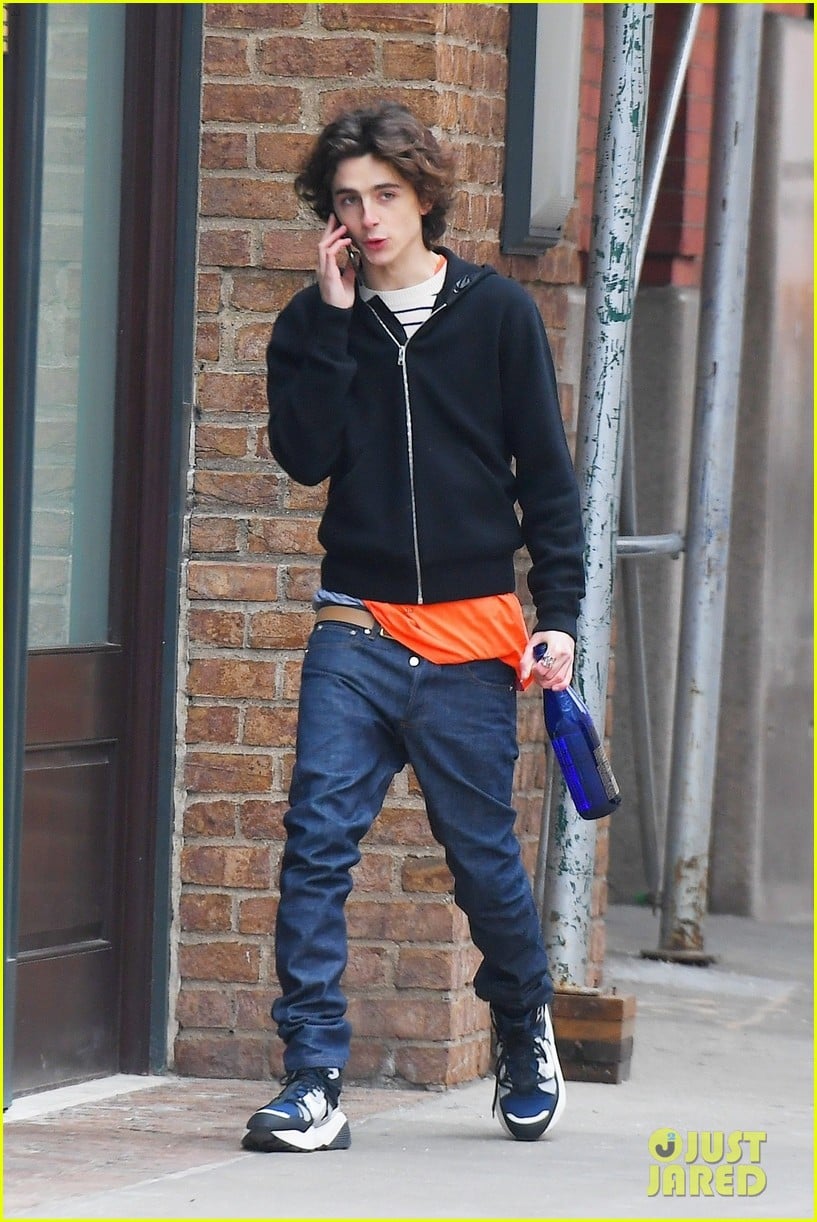 Timothee Chalamet Takes Phone Call During Afternoon Stroll: Photo 1276895, Timothee  Chalamet Pictures