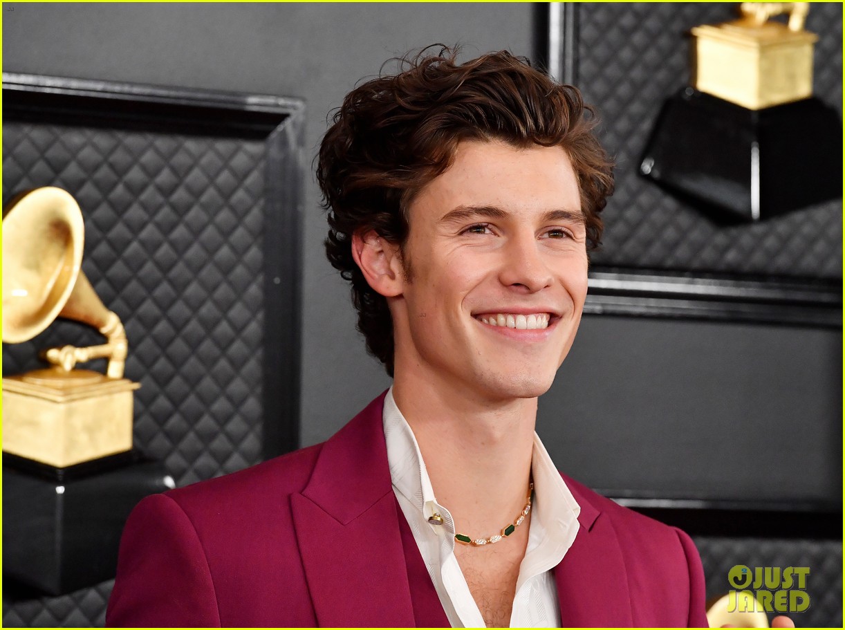 shawn mendes looks incredibly suave at grammys 04