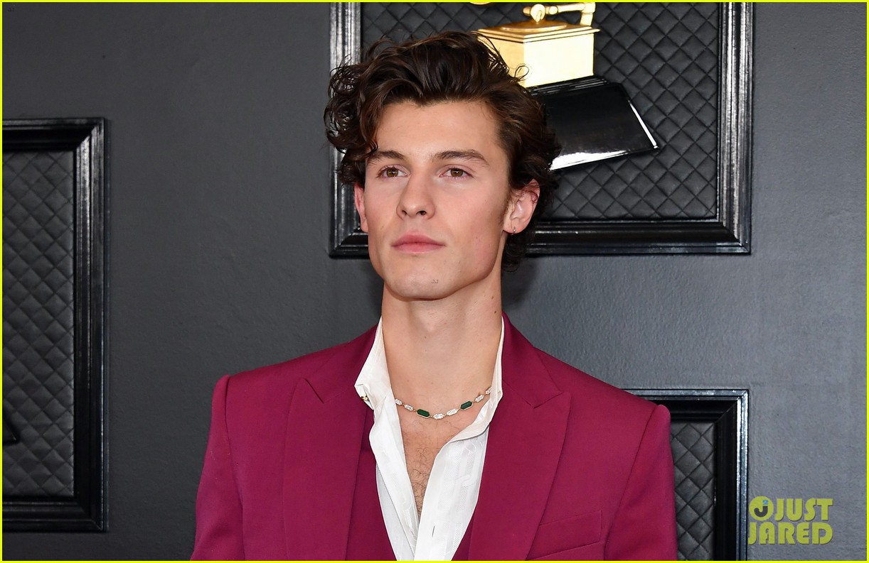 shawn mendes looks incredibly suave at grammys 09