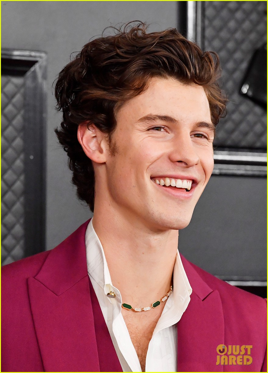 shawn mendes looks incredibly suave at grammys 11