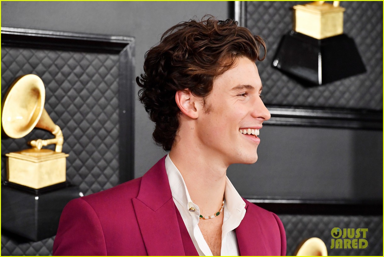 shawn mendes looks incredibly suave at grammys 12