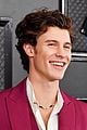 shawn mendes looks incredibly suave at grammys 11