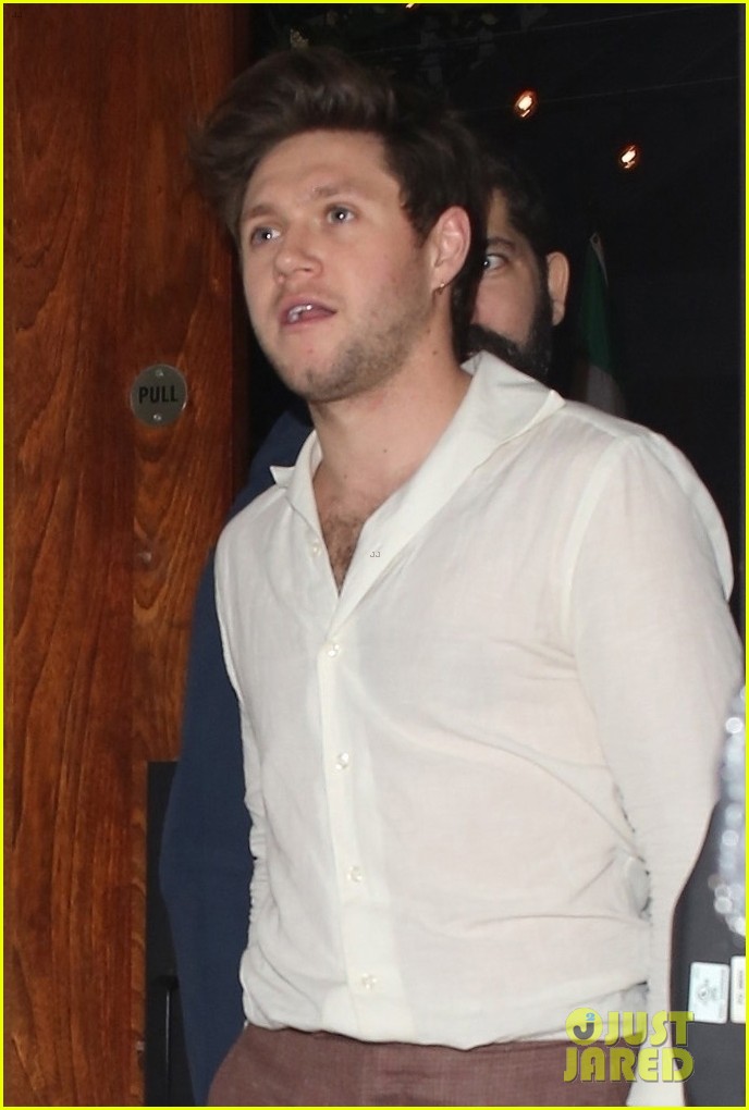niall horan hits up grammys after parties 04