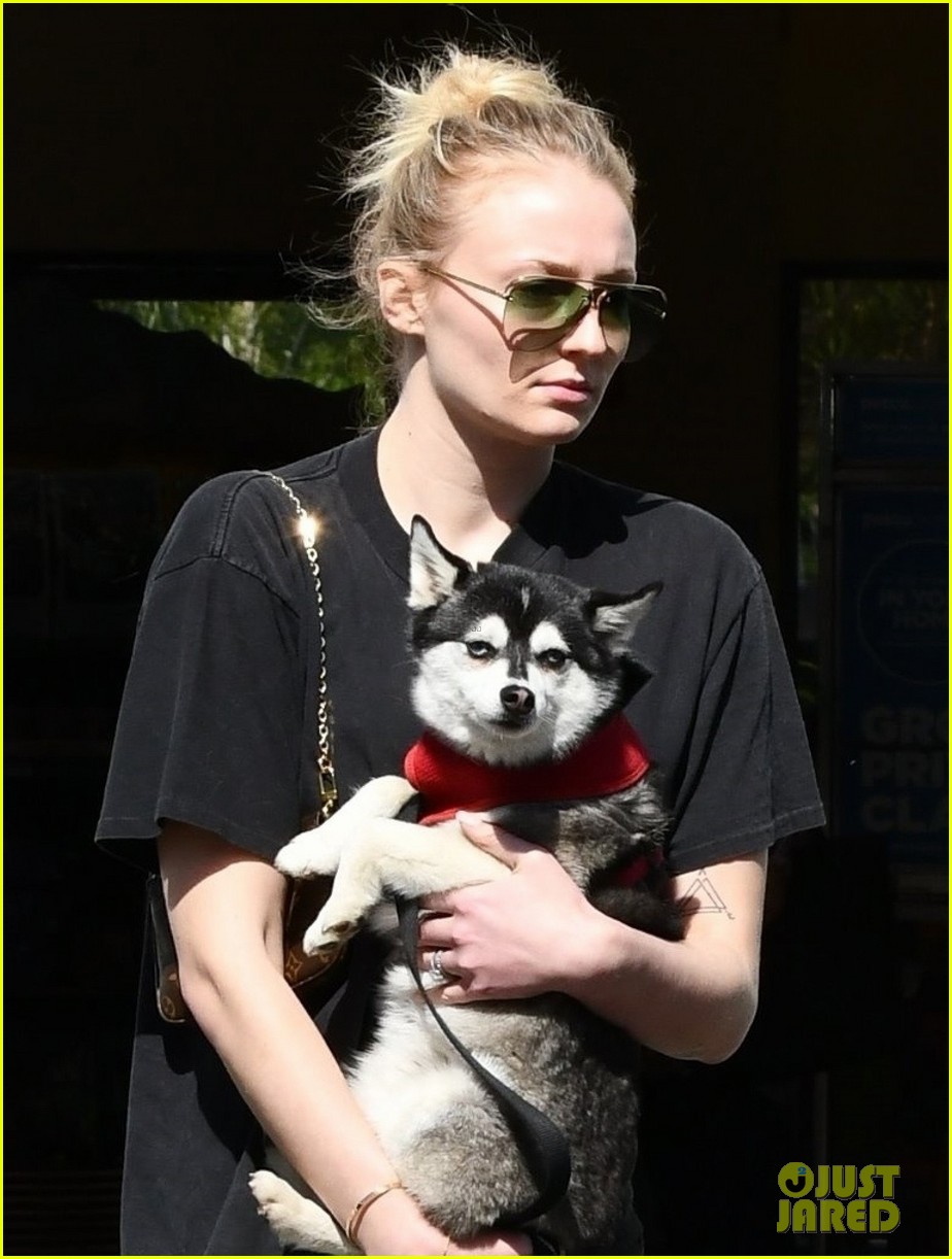 sophie turner holds dog porky in front of baby bump 02