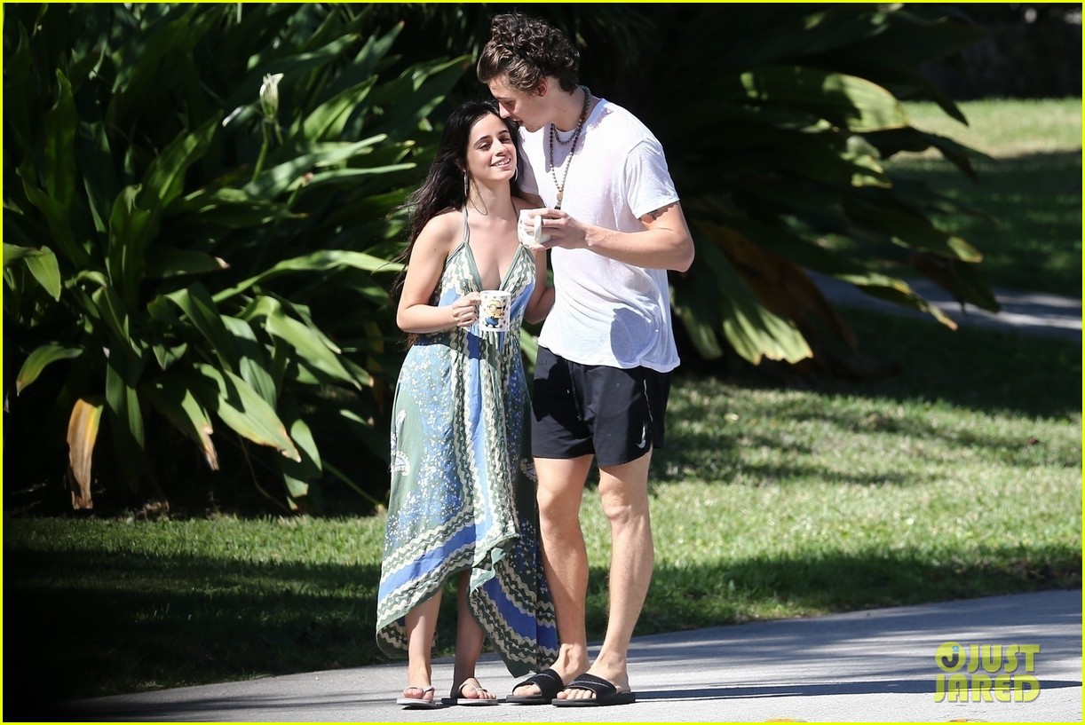 shawn mendes goes shirtless for sunday stroll with camila cabello 22