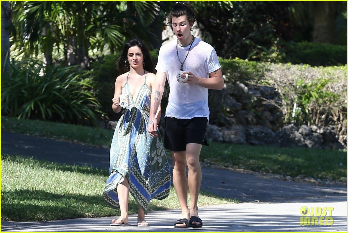 shawn mendes goes shirtless for sunday stroll with camila cabello 33