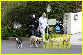 joe jonas sophie turner walk with the dogs 15