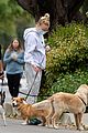 joe jonas sophie turner walk with the dogs 10