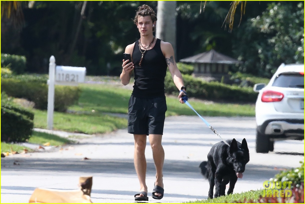 shawn mendes takes dog for a walk 07