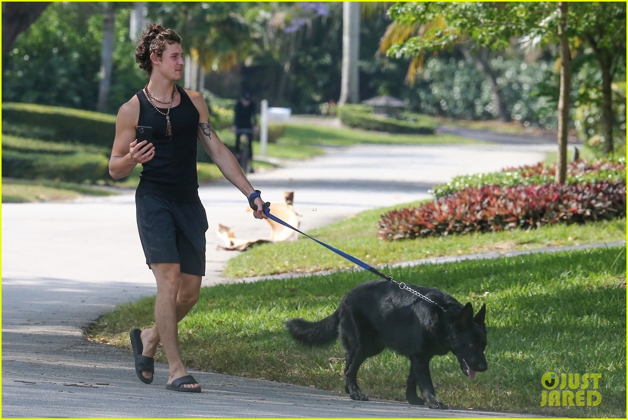 shawn mendes takes dog for a walk 15