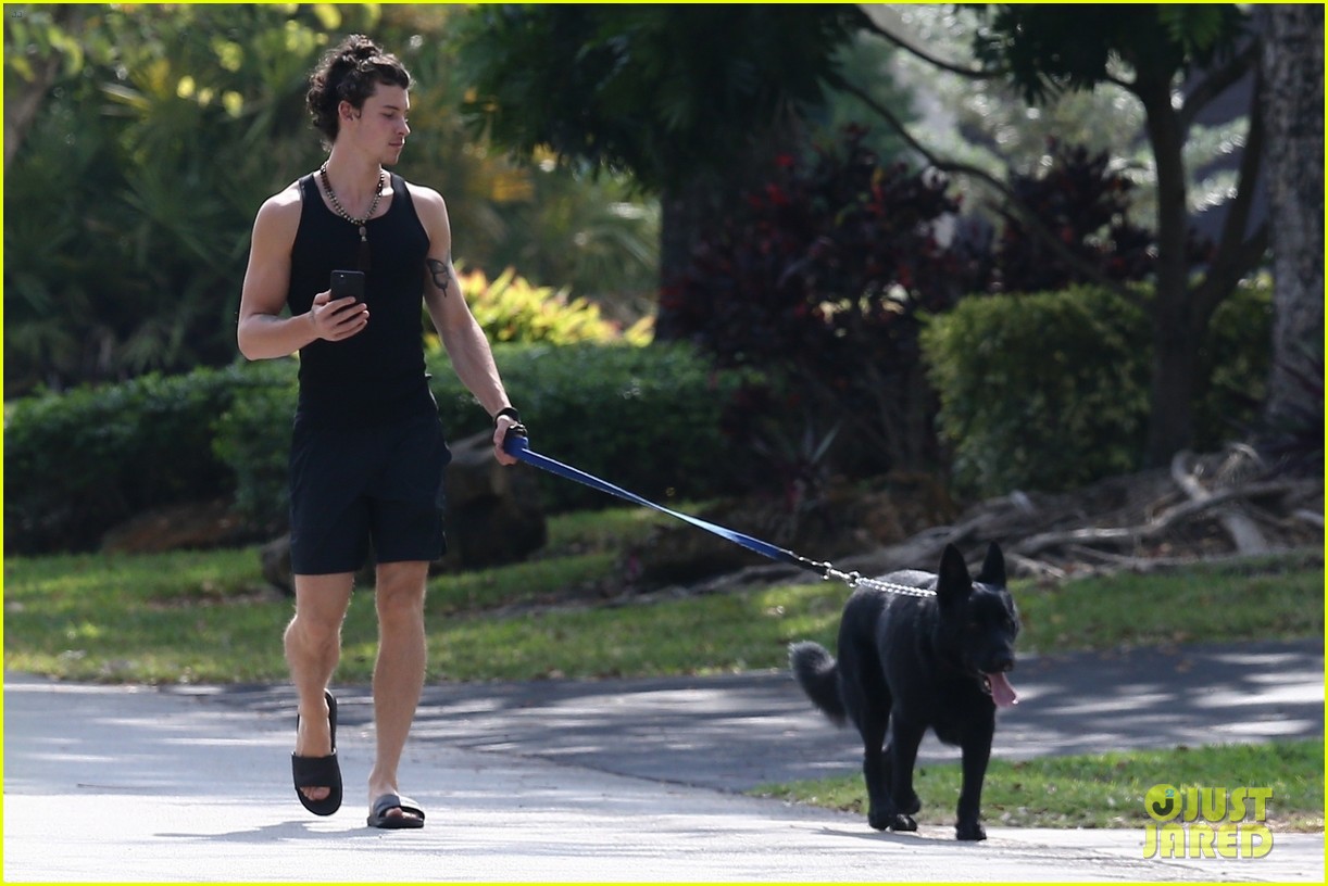 shawn mendes takes dog for a walk 26