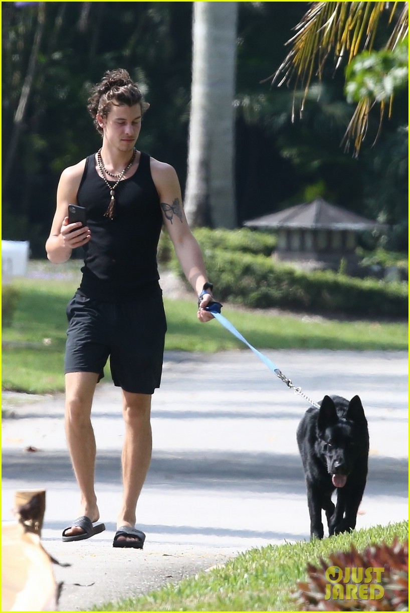 shawn mendes takes dog for a walk 41