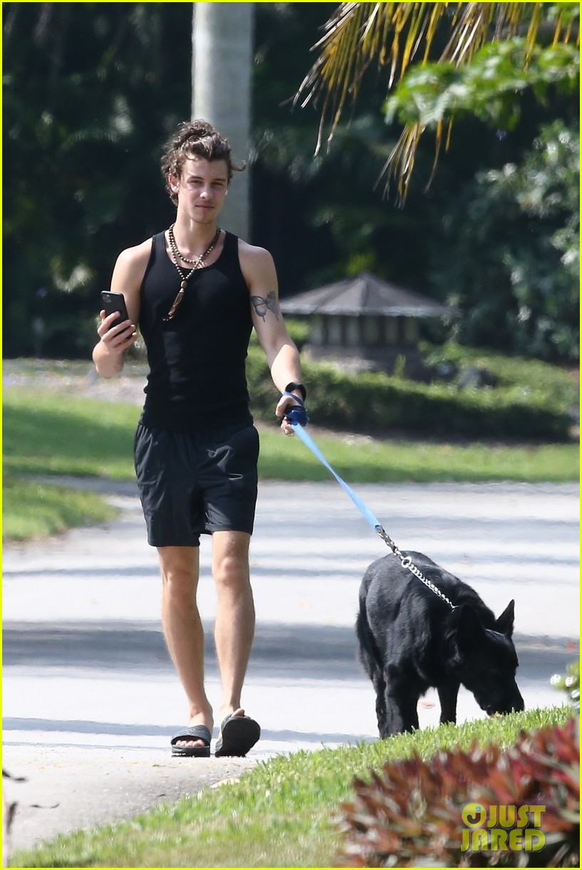 shawn mendes takes dog for a walk 42