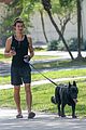 shawn mendes takes dog for a walk 04