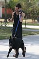shawn mendes takes dog for a walk 23