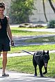 shawn mendes takes dog for a walk 28