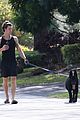 shawn mendes takes dog for a walk 38