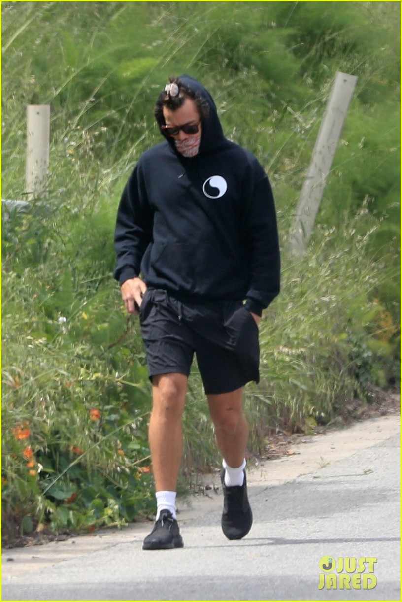 harry styles goes for walk after bumping into kendall jenner 08